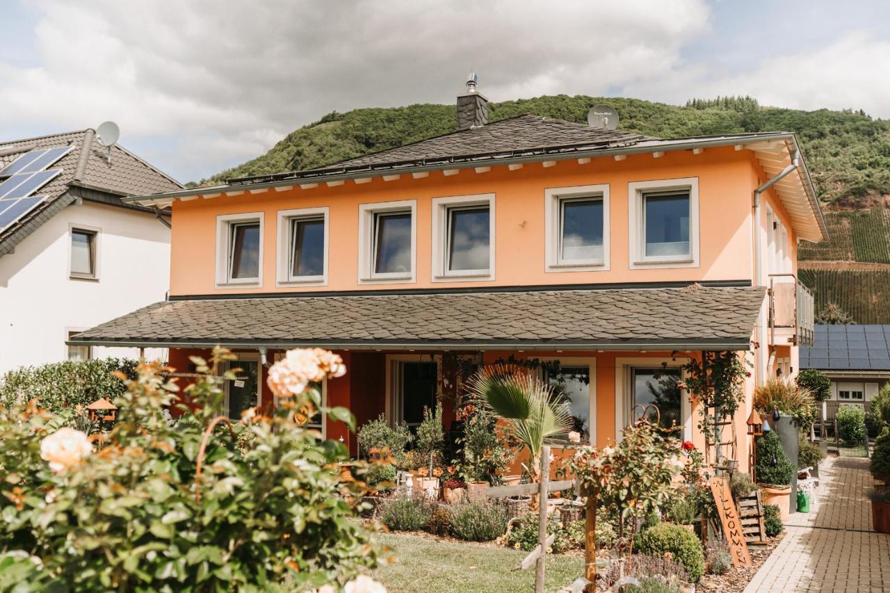 Wein- Und Gaestehaus Schwaab&Sohn Erden Zewnętrze zdjęcie