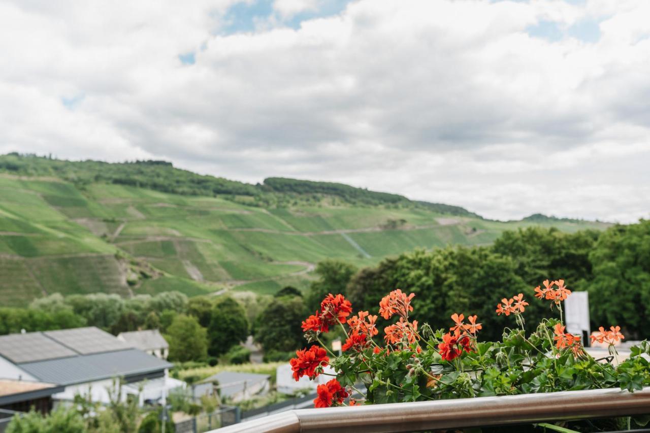 Wein- Und Gaestehaus Schwaab&Sohn Erden Zewnętrze zdjęcie