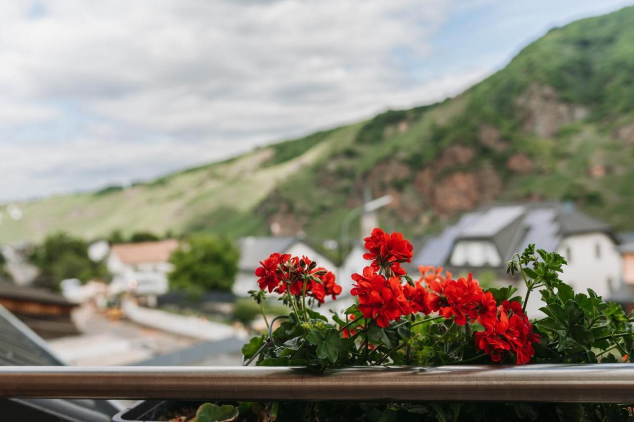 Wein- Und Gaestehaus Schwaab&Sohn Erden Zewnętrze zdjęcie
